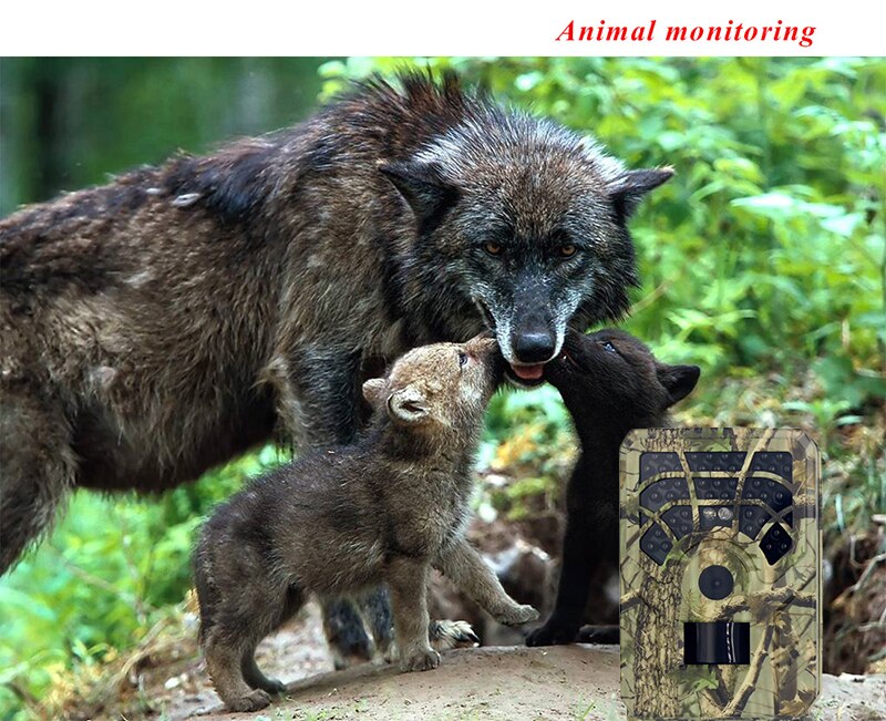 12MP 1080P Wide Angle Trail Camera